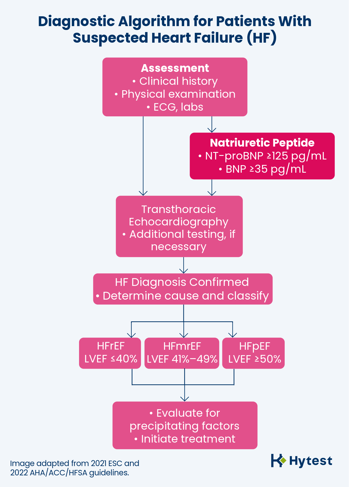 Diagnostic-Algorithm-Pati... undefined
